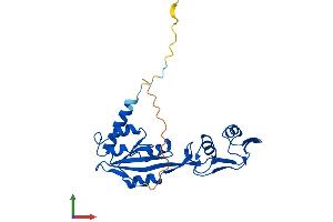 AlphaFold protein structure predicition of Mouse Recombinant Mrto4 Protein, UniprotID Q9D0I8 (C1orf33 Protein (AA 1-239) (His tag))