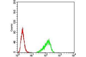 Flow cytometric analysis of Hela cells using RND3 mouse mAb (green) and negative control (red). (RND3 antibody  (AA 104-241))