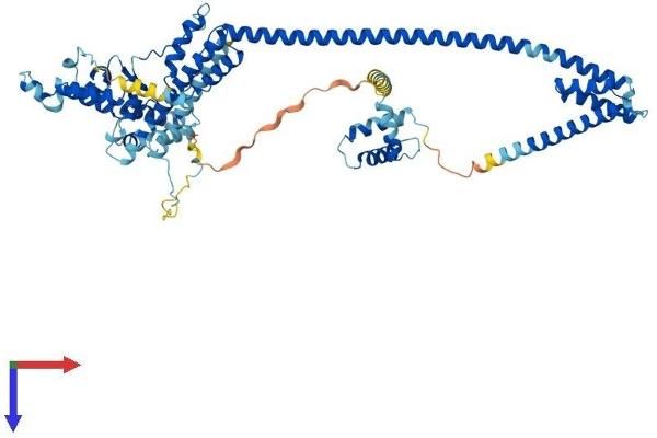 DNAJC2 Protein (AA 1-621) (His tag)