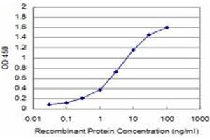 Detection limit for recombinant GST tagged HDAC9 is approximately 0. (HDAC9 antibody  (AA 481-570))