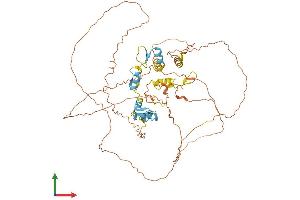 Protein Structure (PS) image for IKAROS Family Zinc Finger 4 (Eos) (IKZF4) (AA 1-586) protein (His tag) (ABIN7564502)