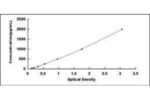 ELISA image for Bone Morphogenetic Protein 7 (BMP7) ELISA Kit (ABIN6730953)