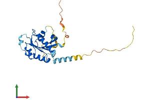 Protein Structure (PS) image for RAB, Member of RAS Oncogene Family-Like 2B (RABL2B) (AA 1-228) protein (His tag) (ABIN7551272)