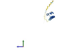 AlphaFold protein structure predicition of Mouse Recombinant Maff Protein, UniprotID O54791 (MafF Protein (AA 1-156) (His tag))