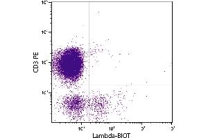 Chicken peripheral blood lymphocytes were stained with Mouse Anti-Chicken Lambda-BIOT. (Mouse anti-Chicken lambda Antibody (Biotin))