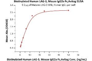 Immobilized Madarex LAG-3 MAb, Human IgG1 at 2 μg/mL (100 μL/well) can bind Biotinylated Human LAG-3, Mouse IgG2a Fc,Avitag (ABIN5954960,ABIN6253611) with a linear range of 0. (LAG3 Protein (AA 23-450) (Fc Tag,AVI tag,Biotin))