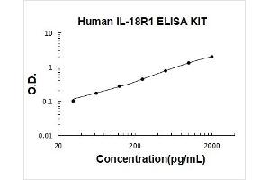 Interleukin 18 Receptor 1 (IL18R1) ELISA Kit