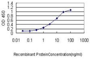 Detection limit for recombinant GST tagged CALM2 is approximately 0. (Calmodulin 2 antibody  (AA 1-149))