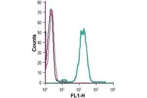 Cell surface detection of GPR4 in live intact human THP-1 monocytic leukemia cells: (black line) Cells. (GPR4 antibody  (2nd Extracellular Loop))