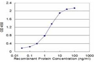 Detection limit for recombinant GST tagged FAS is approximately 0. (FAS antibody  (AA 20-119))