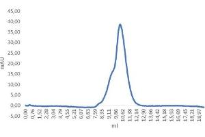 Size-exclusion chromatography-High Pressure Liquid Chromatography (SEC-HPLC) image for Ephrin B1 (EFNB1) (AA 28-237) protein (His tag) (ABIN3092285)