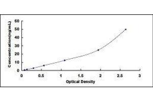 Pancreatic Lipase (PNLIP) ELISA Kit