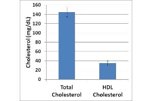 Cholesterol Values of Human Serum Tested Before and After Precipitation Using the HDL-Cholesterol Assay Kit. (HDL-Cholesterol Assay Kit)