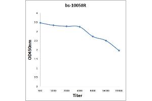 Antigen: 2 µg/100 µL  Primary: Antiserum, 1:500, 1:1000, 1:2000, 1:4000, 1:8000, 1:16000, 1:32000;  Secondary: HRP conjugated Rabbit Anti-Goat IgG at 1: 5000;  TMB staining Read the data in Microplate Reader by 450nm. (MMP19 antibody  (AA 251-350))