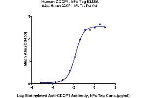 Immobilized Human CDCP1, hFc Tag at 2 μg/mL (100 μL/Well) on the plate. (CDCP1 Protein (AA 30-666) (Fc Tag))