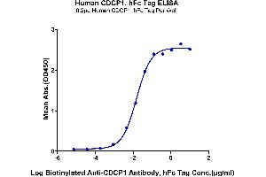 Immobilized Human CDCP1, hFc Tag at 2 μg/mL (100 μL/Well) on the plate. (CDCP1 Protein (Fc Tag))