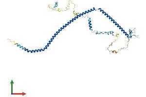 AlphaFold protein structure predicition of Mouse Recombinant Spata17 Protein, UniprotID Q9D552 (SPATA17 Protein (AA 1-379) (His tag))