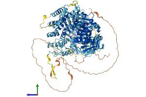 Protein Structure (PS) image for TAF2 RNA Polymerase II, TATA Box Binding Protein (TBP)-Associated Factor, 150kDa (TAF2) (AA 1-1104) protein (His tag) (ABIN7564496)