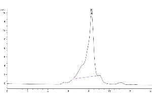 Size-exclusion chromatography-High Pressure Liquid Chromatography (SEC-HPLC) image for CD3 epsilon (CD3E) protein (Fc Tag) (ABIN7274301)