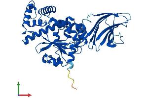 Protein Structure (PS) image for SEC14-Like 4 (SEC14L4) (AA 1-406) protein (His tag) (ABIN7551592)