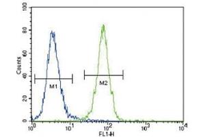 Flow Cytometry (FACS) image for anti-Discoidin Domain Receptor tyrosine Kinase 1 (DDR1) (AA 17-47) antibody (ABIN3030735)