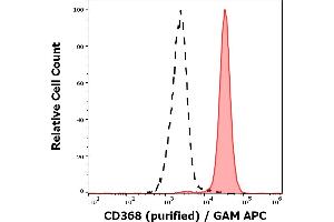 Separation of human neutrophil granulocytes (red-filled) from human lymphocytes (black-dashed) in flow cytometry analysis (surface staining) stained using anti-human CD368 (9B9) purified antibody (concentration in sample 5 μg/mL, GAM APC). (CLEC4D antibody)