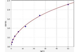 Complement C4 ELISA Kit