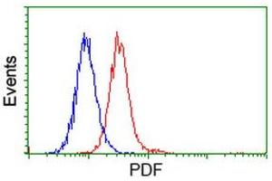 Image no. 3 for anti-Growth Differentiation Factor 15 (GDF15) antibody (ABIN1500100) (GDF15 antibody)