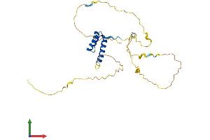 AlphaFold protein structure predicition of Mouse Recombinant Gsx1 Protein, UniprotID P31315 (GSX1/GSH1 Protein (AA 1-261) (His tag))