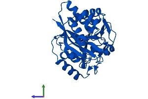 AlphaFold protein structure predicition of Human Recombinant MEMO1 Protein, UniprotID Q9Y316 (MEMO1 Protein (AA 1-297) (His tag))