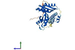 AlphaFold protein structure predicition of Human Recombinant TACO1 Protein, UniprotID Q9BSH4 (TACO1 Protein (AA 1-297) (His tag))