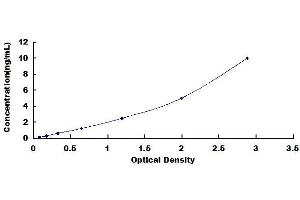 BDKRB2 ELISA Kit