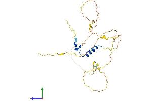 AlphaFold protein structure predicition of Human Recombinant VGLL1 Protein, UniprotID Q99990