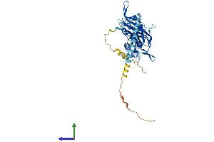 AlphaFold protein structure predicition of Human Recombinant KCNJ8 Protein, UniprotID Q15842 (KCNJ8 Protein (AA 1-424) (His tag))