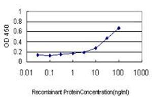 Detection limit for recombinant GST tagged ARX is approximately 0. (Arx antibody  (AA 1-95))