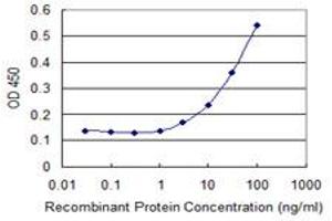 Detection limit for recombinant GST tagged ZNF18 is 1 ng/ml as a capture antibody. (ZNF18 antibody  (AA 282-380))