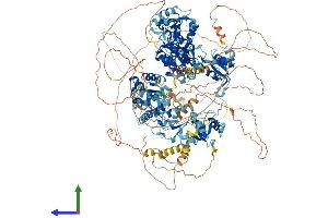 AlphaFold protein structure predicition of Human Recombinant TOPBP1 Protein, UniprotID Q92547 (TOPBP1 Protein (AA 1-1522) (His tag))