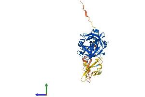 AlphaFold protein structure predicition of Mouse Recombinant Tmprss11a Protein, UniprotID Q3UQ41 (TMPRSS11A Protein (AA 1-389) (His tag))