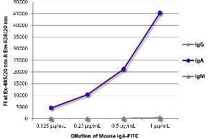 FLISA plate was coated with Goat Anti-Mouse IgG, Human ads-UNLB was captured and fluorescence intensity quantified. (Mouse IgA isotype control (FITC))