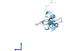 AlphaFold protein structure predicition of Human Recombinant CPSF4L Protein, UniprotID A6NMK7 (CPSF4L Protein (AA 1-179) (His tag))