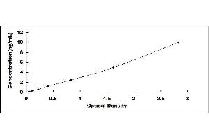 Typical standard curve (SPON2 ELISA Kit)