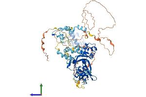 AlphaFold protein structure predicition of Human Recombinant MTA1 Protein, UniprotID Q13330 (MTA1 Protein (AA 1-715) (His tag))