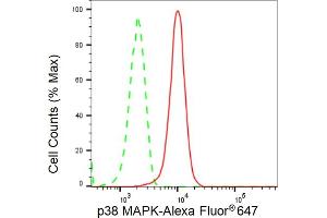 Flow cytometric analysis of p38 MAPK expression in HT- cells using p38 MAPK antibody (ABIN7799447), 1:2,000).