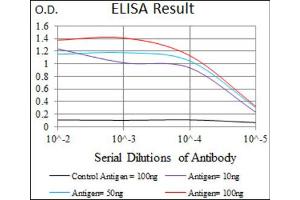 Red: Control Antigen (100ng) ; Purple: Antigen (10ng) ; Green: Antigen (50ng) ; Blue: Antigen (100ng). (Somatostatin antibody  (AA 1-116))