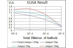 ELISA image for anti-BPI Fold Containing Family A, Member 2 (BPIFA2) antibody (ABIN1847198) (BPIFA2 antibody)
