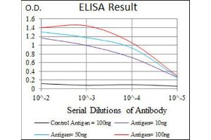 ELISA image for anti-BPI Fold Containing Family A, Member 2 (BPIFA2) antibody (ABIN1847198)