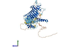 AlphaFold protein structure predicition of Mouse Recombinant Shcbp1l Protein, UniprotID Q3TTP0 (SHCBP1L Protein (AA 1-639) (His tag))