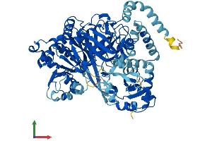 AlphaFold protein structure predicition of Human Recombinant ACSL4 Protein, UniprotID O60488 (ACSL4 Protein (AA 1-711) (His tag))
