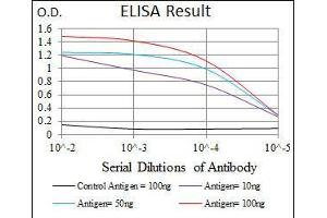 Black line: Control Antigen (100 ng), Purple line: Antigen(10 ng), Blue line: Antigen (50 ng), Red line: Antigen (100 ng), (LMO2 antibody  (AA 1-158))