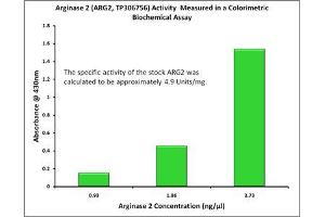 Bioactivity measured with Activity Assay (ARG2 Protein (Myc-DYKDDDDK Tag))